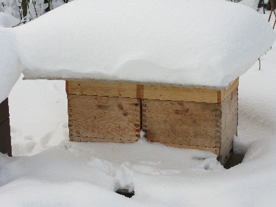 Holzbeute in Schnee